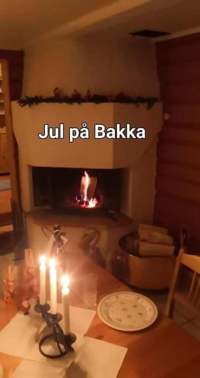 Bakka Villa Hovin Kültér fotó